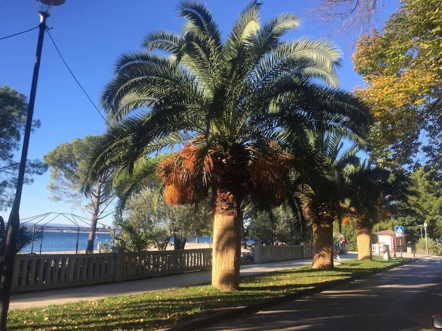 Ferienwohnung Nena In Crikvenica Exteriér fotografie