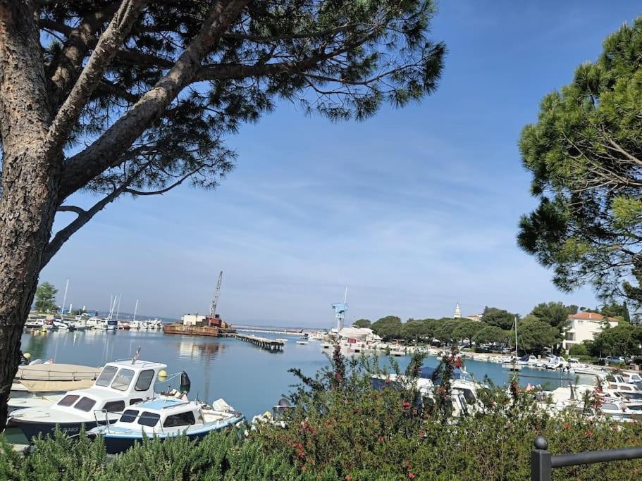 Ferienwohnung Nena In Crikvenica Exteriér fotografie