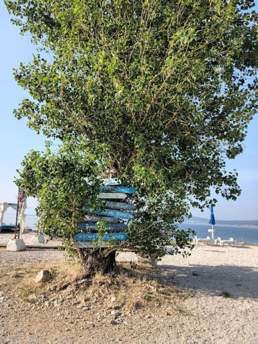 Ferienwohnung Nena In Crikvenica Exteriér fotografie